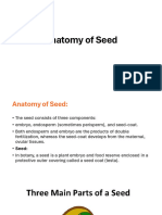 Anatomy of Seed