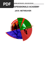 Download Academia-Netweaver Dicas de Estudo by api-3843502 SN7266528 doc pdf