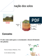 Aula_06_A_-_Fatores_de_Formao_dos_Solos (1)