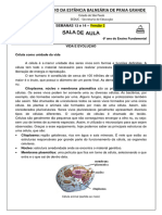 1622590158323~6º ano -Versão 2- Ciências - Semanas 13 e  14