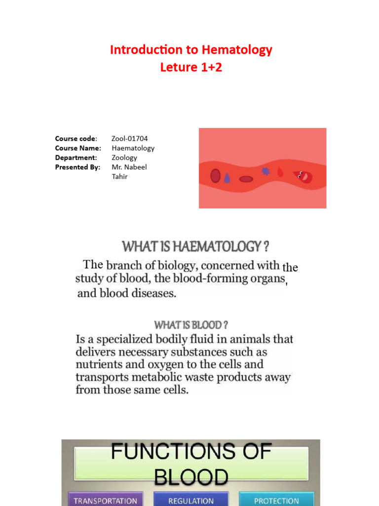 Haematology Lecture 1 2 Pdf Hemoglobin Blood