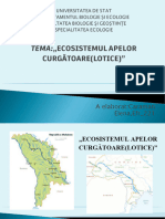 Ecosistemul Apelor Curgătoare (Lotice) "