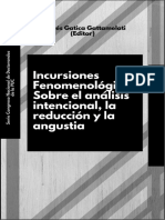 Incursiones Fenomenológicas Sobre El Análisis Intencional La Reducción y La Angustia 1533150109 - 50702
