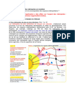 Le Processus de Métropolisation A Des Effets Sur L'aspect Des Métropoles: Celles-Ci Se Recomposent (Leur Organisation Évolue)