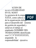 Asignación Implementación Del SGSST