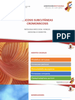 Micosis Subcutã¡neas - Cromoblastomicosis