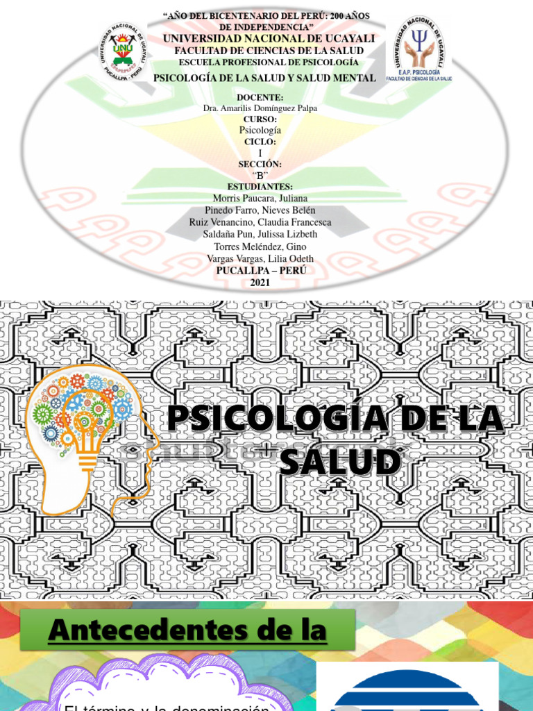 Psicología de La Salud y Salud Mental - IB (Grupo 10) . | PDF | Salud ...