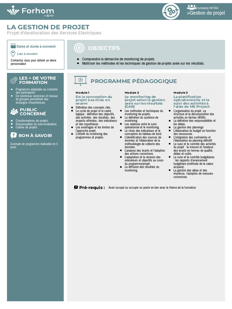 Définition d'un programme en gestion de projet | PDF | Gestion de projet