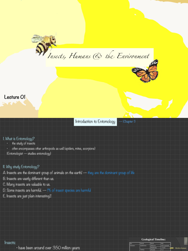 Insects, Humans & The Environment | PDF | Insects | Neuron