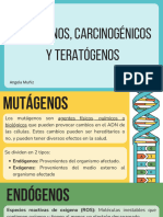 Mutagenos, Carcinogenicos y Teratogenos