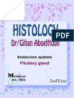 1 - Endocrine System Pituitary Gland