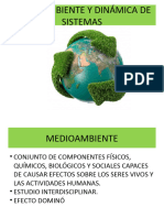 MEDIOAMBIENTE Y DINaMICA DE SISTEMAS 1