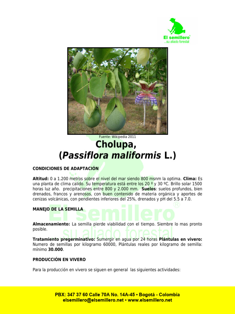 Cultivo y manejo de la cholupa | PDF | Riego | Germinación
