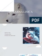 Polarna Lisica