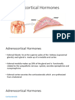 6-Adrenocortical Hormones Pancrease