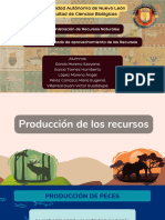 ADMI Peces-Fauna Produccion