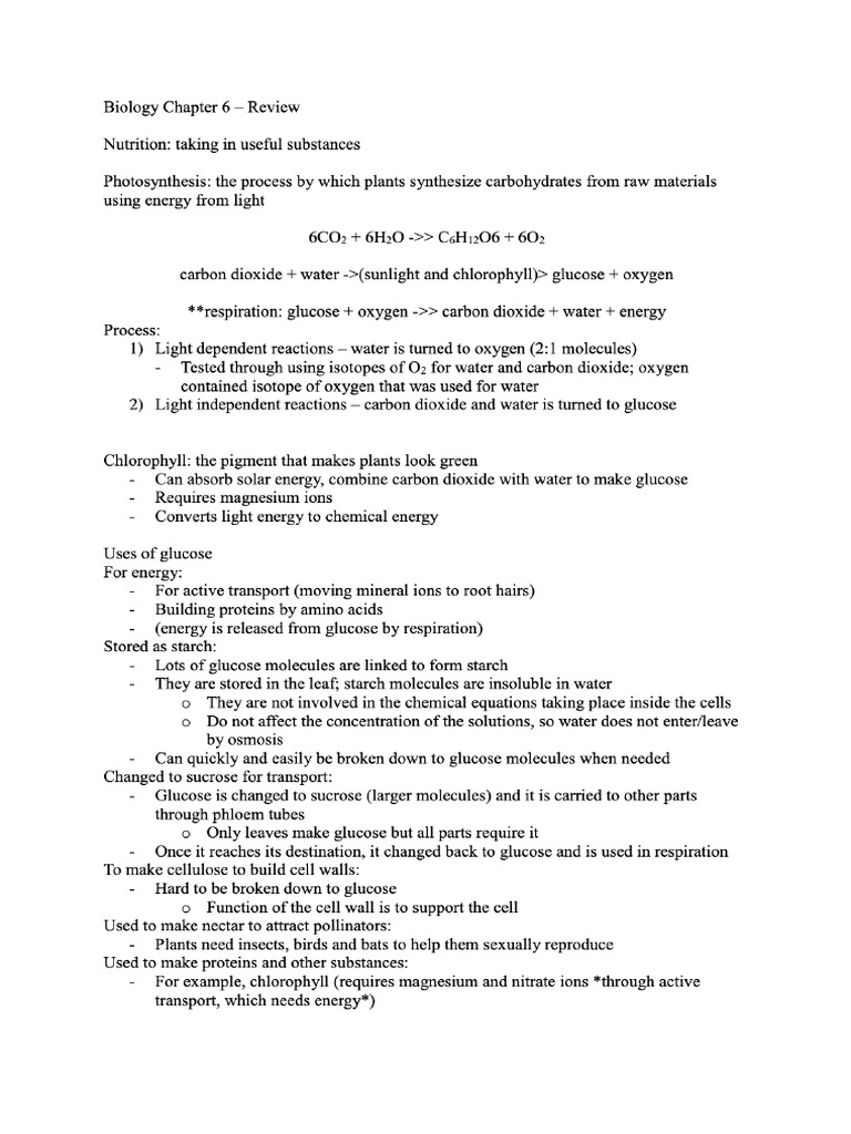 Ghost Chapter 6 Questions