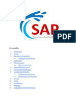 Proyecto Guarani SAP