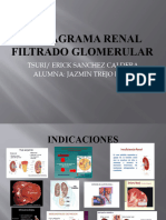 Gamagrama Renal Filtrado Glomerular