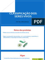 Algas e Protozoários