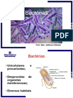 Bactérias e bacterioses