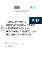 RJ Nº 156 -2018 Lineamientos de Intervencion de Emergencias Calidad