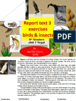 1 Report Text Bird 2 4 Students 1 Di Share