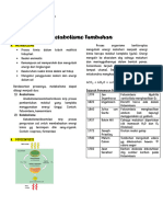 Resume Fotosintesis Dan Respirasi