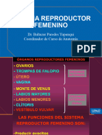 Sistema Reproductor Femenino Logo