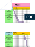 Cronograma de Reclutamiento y Evaluacion