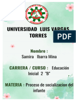 Consulta de Proceso de Socializacion