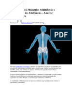 Art - Estabilidade - Músculos Multífidos Análise Biomecânica