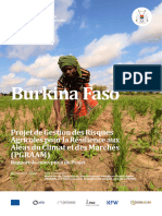 Burkina Faso PGRAAM Final Projet Document Final 002 AP 1
