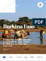 Burkina-Faso-Country-Final-Report_PARMH2_June-2023