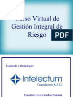 D - 232 - GESTION DE RIESGOS NOV2011 (100ppt)