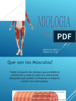 Generalidaes Musculo 2023