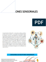 Funciones Sensoriales