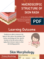 Macroscopic Structure of Skin Rash