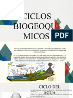 Ciclos Biogeoquimicos