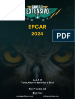 Aula 01 - Tema, Recorte Temático e Tese - EPCAR 2024