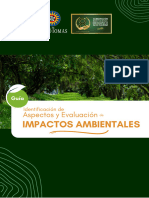 Guia Aspectos e Impactos Ambientales 1