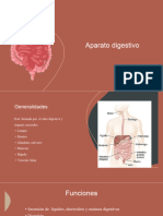 Aparato Gastrointestinal