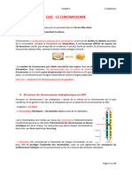 2 - Le Chromosome