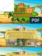 CLASS MAMMALIA