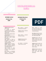 Estructura PDF Deysi