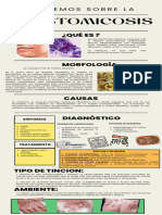 Infografia Blastomicosis 