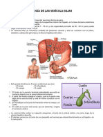 Vesicula Biliar