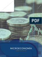 Apunte Digital Microeconomia