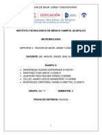 Reporte 4. Tinción de Baar, Gram y Endosporas