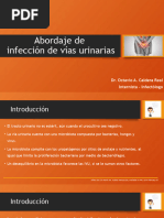 Diagnóstico y Tratamiento IVU en Mujeres | PDF | Infección del tracto ...